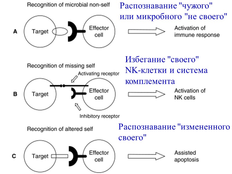 Распознавание 